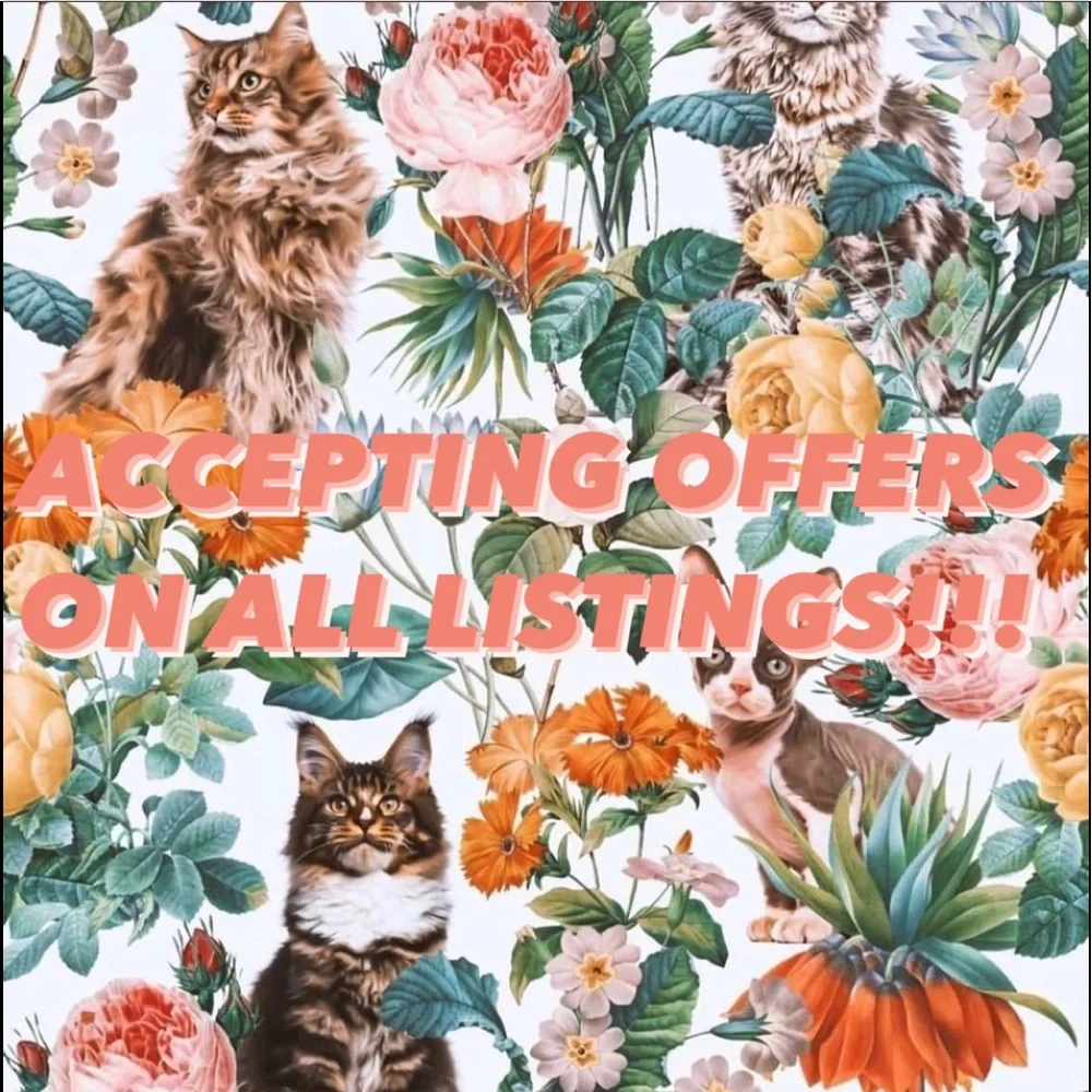 Meow! - Picture 1 of 1
